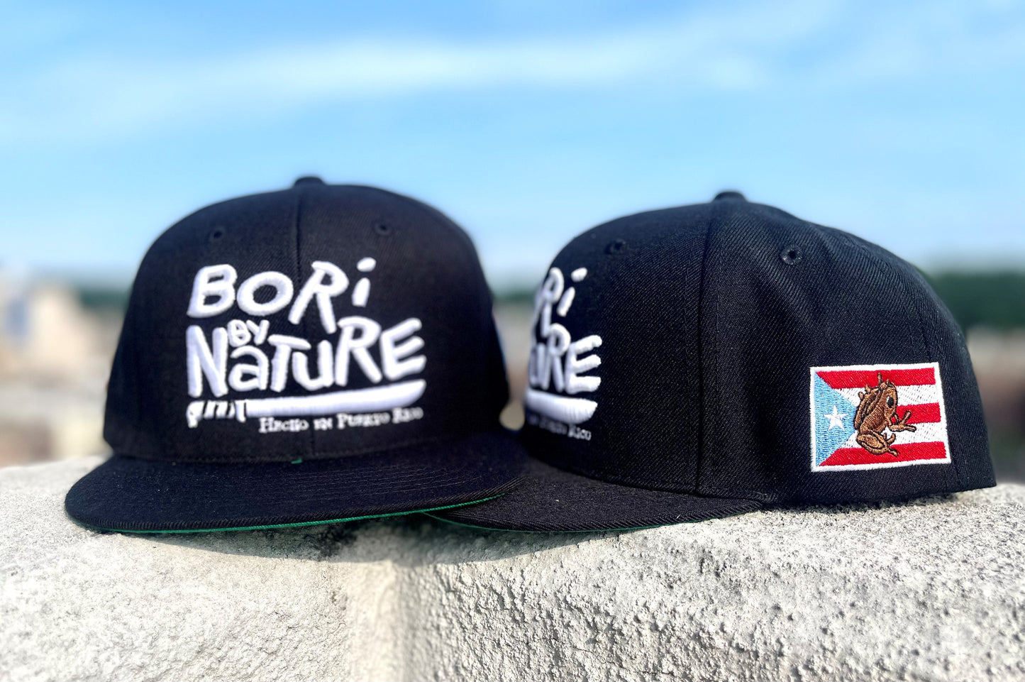 Boribynature black snapback