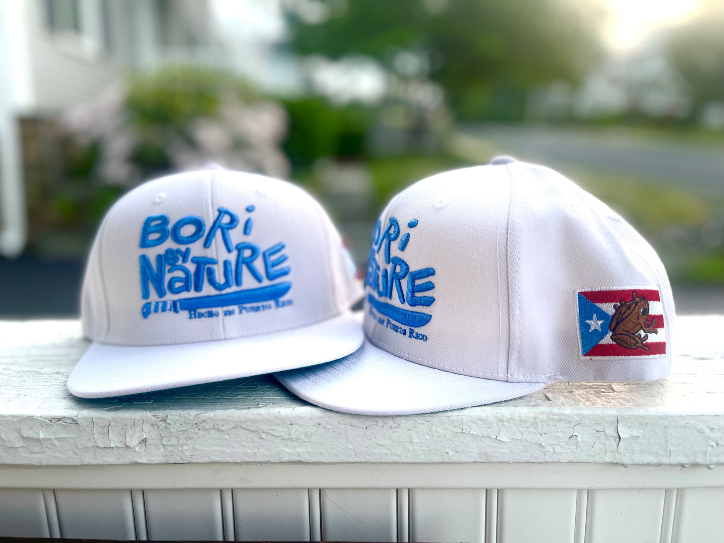 boribynature snapbacks