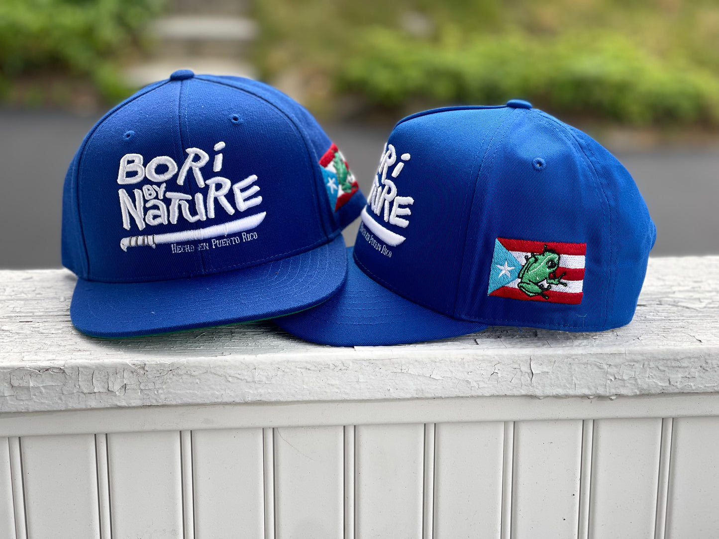 BoriByNature snapback cap