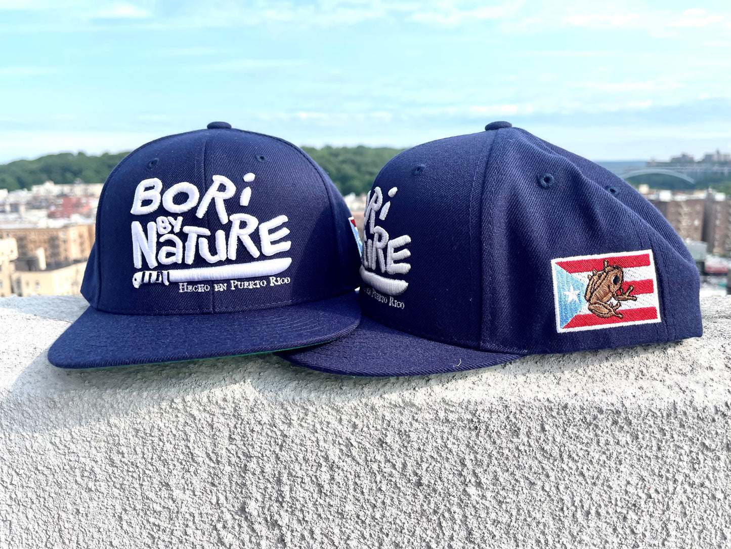 boribynature navy blue snapback