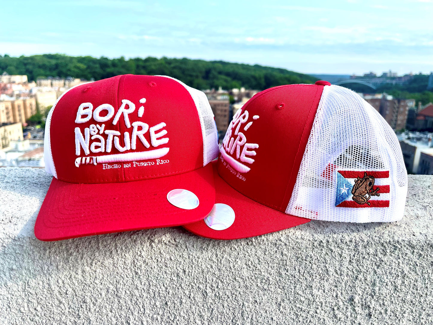 boribynature trucker hat