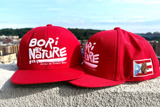 boribynature red snapback