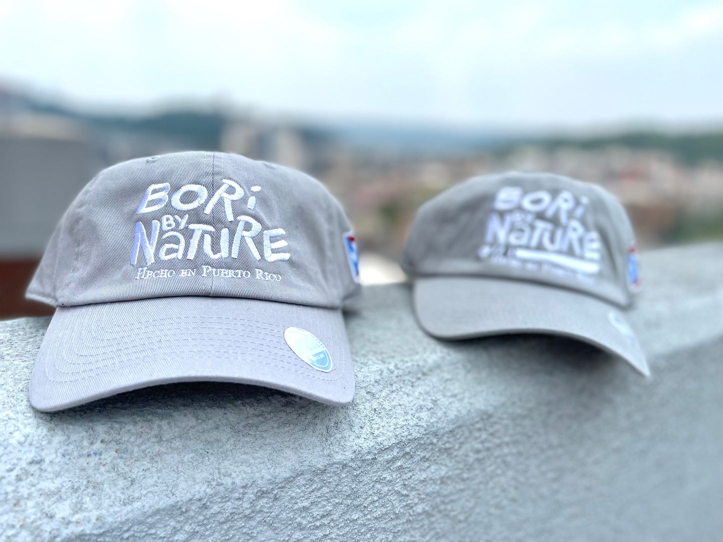 boribynature gray dadhats